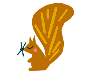 illustration of a Squirrel