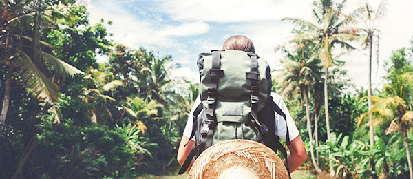 Person backpacking in tropical forest