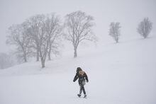 A pedestrian makes their way through a snowstorm in Halifax on Tuesday, January 31, 2023. A top meteorologist says a Canadian winter that lacked commitment earlier in the season is expected to finish strong before spring's sluggish arrival. THE CANADIAN PRESS/Darren Calabrese