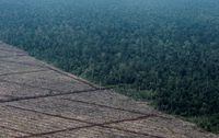 FILE PHOTO: A view of deforestation on Indonesia's Sumatra island, August 5, 2010. Indonesia and Australia launched a A$30 million project to fight deforestation in Sumatra as part of efforts to cut greenhouse gas emissions and boost a planned forest-carbon trading scheme on March this year. Indonesia, like Brazil, is on the front line of efforts to curb deforestation that is a major contributor to mankind's greenhouse gas emissions that scientists blame for heating up the planet. REUTERS/Beawiharta/File Photo
