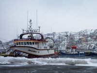 Fishing boats tied up at Fort Amherst, St. John's NL on Thursday, February 11, 2021.  Photo by Paul Daly for the Globe and Mail