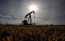 A pumpjack works at a well head on an oil and gas installation near Cremona, Alta., Saturday, Oct. 29, 2016. Oil and gas companies in Alberta are accelerating voluntary reclamation of old well sites and pipelines.THE CANADIAN PRESS/Jeff McIntosh