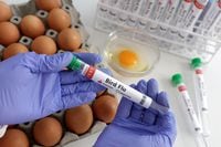 A person holds a test tube labelled "Bird Flu" next to eggs, in this picture illustration, January 14, 2023. REUTERS/Dado Ruvic/Illustration