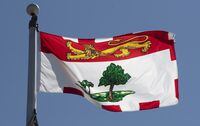 Prince Edward Island's provincial flag flies on a flag pole in Ottawa on July 6, 2020. THE CANADIAN PRESS/Adrian Wyld