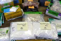 FILE PHOTO: Plastic bags of Fentanyl are displayed on a table at the U.S. Customs and Border Protection area at the International Mail Facility at O'Hare International Airport in Chicago, Illinois, U.S. November 29, 2017.  REUTERS/Joshua Lott/File Photo