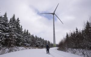 Samuel Drouin-Tardif, an electro-mechanic for Boralex, walks in the snow while looking at a wind turbine in Thetford Mines November 24, 2023.