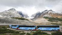 Tour buses sit parked near the Columbia Icefields near Jasper, Alta., Sunday, July 19, 2020. Environmentalists and scientists want Parks Canada to further restrict access to Rocky Mountain backcountry to help save the last large caribou herd in the national parks. THE CANADIAN PRESS/Jeff McIntosh