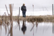 Lane Mountney poses for a photo near the creek that runs by his grain farm southwest of Moosomin on Friday April 14, 2023. Mountney is concerned the Wawken Drainage Project will affect his farm’s well water and reduce the productivity and acreage of his land. THE CANADIAN PRESS/Michael Bell