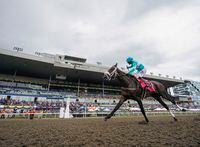 Jockey Rafael Hernandez, aboard Moira, races on their way to winning the 163rd running of the $1-million Queen's Plate in Toronto on Sunday, August 21, 2022. THE CANADIAN PRESS/Mark Blinch