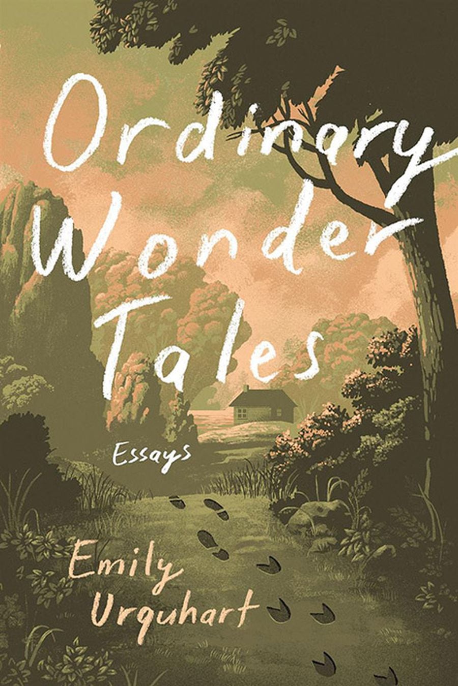 Ordinary Wonder Tales: Essays
