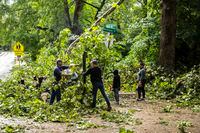 Residents help clear a fallen tree from an intersection after a severe storm in Iowa City, Iowa, on Aug. 10, 2020.