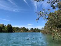 The brilliant blue water of Black Diamond Lake, a former coal mine near the Western Australia town of Collie that ceased operations decades ago, has made the site an Instagram hotspot. Emma Graney/The Globe and Mail