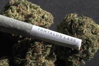Cannabis company Atlantic Cultivation has acquired the Tantalus Labs brand. THE CANADIAN PRESS/HO-Tantalus Labs