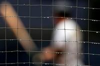 Rainwater drops hang from the netting as Pittsburgh Pirates' Colin Moran, behind, bats during the first inning of a baseball game against the San Diego Padres, Sunday, May 19, 2019, in San Diego. The game was delayed about a half hour due to rain. (AP Photo/Gregory Bull)