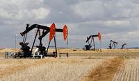 Oilfield pumpjacks, belonging to Crescent Point Energy, work pumping crude oil on wells near Shaunavon, Saskatchewan on Aug. 26, 2016. THE CANADIAN PRESS IMAGES/Larry MacDougal