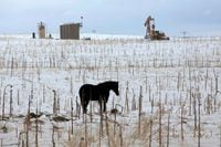 FILE PHOTO: A horse is seen in a field near an oil pump site outside of Williston, North Dakota March 11, 2013.  REUTERS/Shannon Stapleton/File Photo