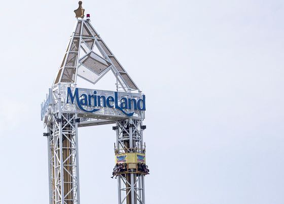 Marineland registers to lobby Ontario government with goal of selling park