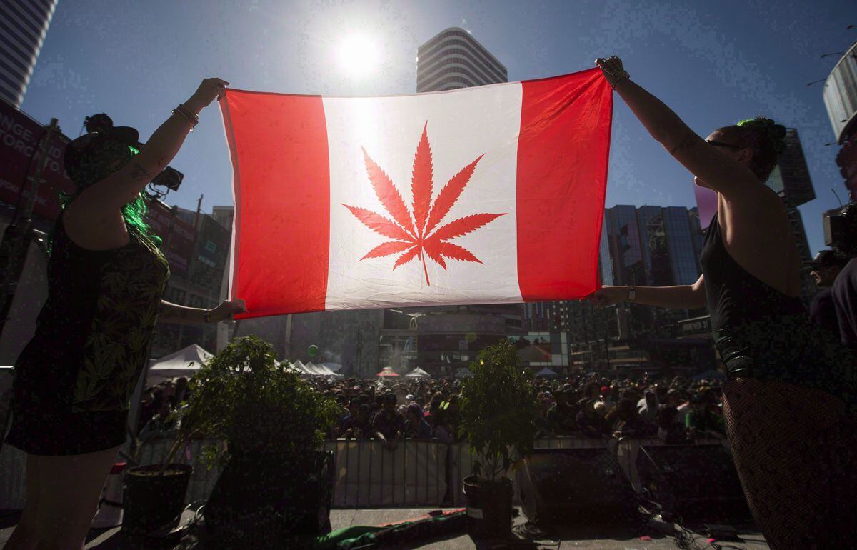 канадская марихуана