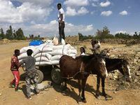 In this Tuesday Jan. 12, 2021 photo provided by the Catholic Relief Services, people affected by the conflict in Tigray load food aid provided by USAID and Catholic Relief Services onto a donkey cart to be tansported to their home, outside Mekele, Ethiopia. From emaciated refugees to crops burned on the brink of harvest, starvation threatens the survivors of more than two months of fighting in Ethiopias Tigray region. Authorities say more than 4.5 million people, or nearly the entire population, need emergency food. The first humanitarian workers to arrive after weeks of pleading with Ethiopia for access describe weakened children dying from diarrhea after drinking from rivers, and shops that were looted or depleted weeks ago. (Catholic Relief Services via AP)