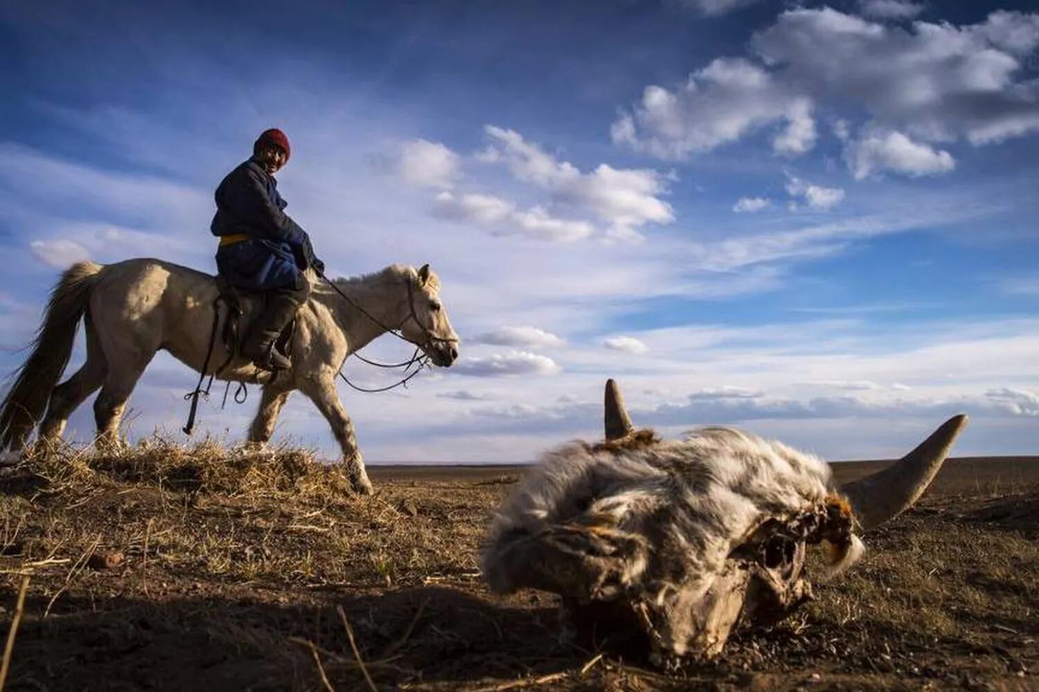 The Globe in Mongolia: Why a herding culture is dying out - The Globe and  Mail