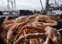 Crab landed on the dock at St. John's Harbour on Thursday, May 6, 2021. THE CANADIAN PRESS/Paul Daly
