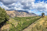 A view of the Seven Stones Winery, 1143 Hwy 3 near Cawston in the Similkameen Valley about 120 kilometres south of Kelowna. The property is currently for sale at an asking price of $8.7-million. 