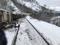 A train derailment near Kitwanga, B.C., between Smithers and Terrace, is shown in this January, 2020 photo.