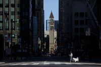 TORONTO, ON - APRIL 01: A pedestrian crosses the street with a dog during morning commuting hours in the Financial District as Toronto copes with a shutdown due to the Coronavirus, on April 1, 2020 in Toronto, Canada. Prime Minister Justin Trudeau said the government would spend $2 billion on testing and to buy critical supplies including ventilators and personal protective equipment. (Photo by Cole Burston/Getty Images)