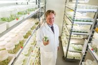 Brent Zettl CEO of Prairie Plant Systems Inc., says Canada’s cannabis researchers could have led the world in their field if the federal government hadn’t stopped almost all funding about a decade ago.