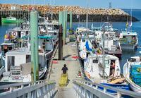Fishing boats from the Sipekne'katik First Nation prepare for the start of its self-regulated treaty lobster fishery in Saulnierville, N.S. on  Monday, Aug. 16, 2021.THE CANADIAN PRESS/Andrew Vaughan