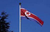 FILE PHOTO: A North Korean flag flies on a mast at the Permanent Mission of North Korea in Geneva October 2, 2014.   REUTERS/Denis Balibouse/File Picture