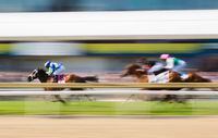 Woodbine's first signature race day will be June 8 with both the $500,000 Woodbine Oaks and $125,000 Plate Trial headlining the card. Horses compete in a preliminary race before the Queen's Plate horse race at Woodbine Race Track, in Toronto, Sunday, July 2, 2017. THE CANADIAN PRESS/Mark Blinch
