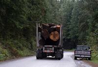 A logging truck is seen driving past the Fairy Creek logging area near Port Renfrew, B.C. Tuesday, Oct. 5, 2021. THE CANADIAN PRESS/Jonathan Hayward