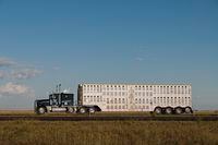 A semi-truck trailer fitted for livestock and poultry transportation, north bound on Alberta Highway 2 (Queen Elizabeth II Highway) near Crossfield, Alta, on Aug. 19, 2013.