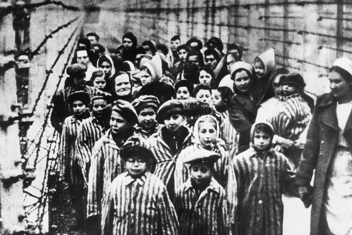concentration camps essay
