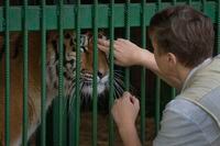 Natalia Popova, 50, pets a tiger at her animal shelter in Kyiv region, Ukraine, Thursday, Aug. 4, 2022. Popova, in cooperation with the animal protection organisation UA Animals, has already saved more than 300 animals from the war, 200 of them were sent abroad, and 100 found a home in most western regions of Ukraine, which are considered to be safer. (AP Photo/Efrem Lukatsky)
