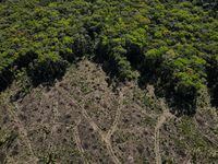 FILE PHOTO: An aerial view shows a deforested plot of the Amazon rainforest in Manaus, Amazonas State, Brazil July 8, 2022. REUTERS/Bruno Kelly/File Photo