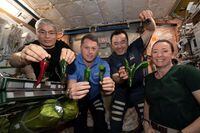 International Space Station astronauts Mark Vande Hei, Shane Kimbrough, Akihiko Hoshide and Megan McArthur, pose with chile peppers grown in space for the first time aboard the orbiting laboratory platform for the Plant Habitat-04 investigation, in this undated handout picture. NASA's Deep Space Food Challenge seeks to expand on space-based food production technologies for future long-duration missions to the moon, Mars and beyond. NASA/Handout via REUTERS    THIS IMAGE HAS BEEN SUPPLIED BY A THIRD PARTY  MANDATORY CREDIT