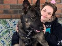 31-year-old Chelsea Cardno, is shown in this undated handout photo. The missing woman was last seen leaving her home in Kelowna, B.C. to walk her German Shepherd “JJ” near the Mission Greenway. THE CANADIAN PRESS/HO-RCMP *MANDATORY CREDIT*