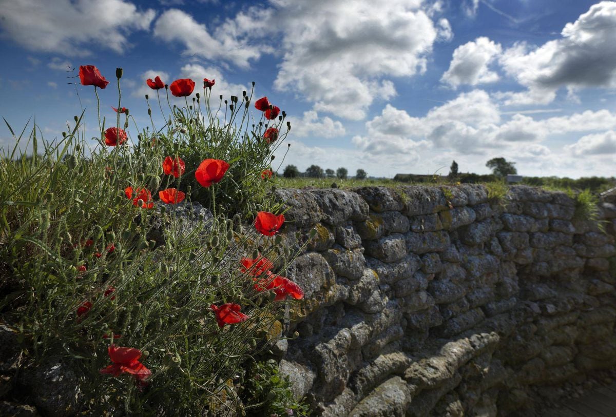 best time to visit flanders fields