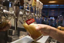 A pint of beer is poured at&nbsp; Mill Street Brewery in Toronto on Friday, October 9, 2015. The Tragically Hip are suing a brewery for trademark infringement in the promotion of its 100th Meridian lager.THE CANADIAN PRESS/Chris Young