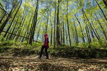 A hiker passes through along a trail amidst a grove of poplar trees at the Rouge Urban National Park, in Toronto, Tuesday, June 15, 2021. The federal environment minister is warning that Ottawa will not provide disaster compensation where a province deliberately allows housing to be built in areas prone to flooding. THE CANADIAN PRESS/Giordano Ciampini