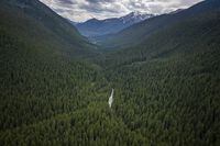 A valley of intact forests, lakes and wetlands in southeastern British Columbia, shown in a handout photo, is being preserved in an agreement with governments, First Nations, a forest company and the Nature Conservancy of Canada. THE CANADIAN PRESS/HO-Paul Zizka **MANDATORY CREDIT** 