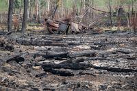 An old car lies burnt in a wooded area where recent wildfires have damaged the land, in Drayton Valley, Alta. on Wednesday, May 17, 2023. Wildfires hit Alberta earlier this month, leaving more than 10,000 square kilometres of land scorched so far this year. THE CANADIAN PRESS/Jason Franson