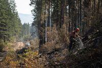 Wildland firefighter Ty Feldinger works on steep terrain to put out hot spots remaining from a controlled burn on Okanagan Indian Band land, northwest of Vernon, B.C., Wednesday, Aug. 25, 2021.The director of provincial operations for British Columbia's wildfire service says B.C. needs a "holistic," large-scale program to reduce fire risk, starting from backyards, then to surrounding communities and extending to forested lands. THE CANADIAN PRESS/Darryl Dyck