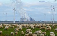 A photo taken on October 16, 2022 shows a herd of sheep grazing on a meadow near the coal-fired power plant Neurath run by RWE and wind turbines in Luetzerath, western Germany. - German multinational energy company RWE plans to entirely demolish houses in the village of Luetzerath for coal mining. RWE also brought forward its exit from coal power to 2030 on October 4, 2022 amid fears the country's plans to abandon fossil fuels are wobbling following the energy crisis caused by Russia's war in Ukraine. Russia's curtailing of gas exports to Germany in the wake of the Ukraine war has forced Berlin to make the radical decision to restart mothballed coal power stations, at least temporarily. (Photo by INA FASSBENDER / AFP) (Photo by INA FASSBENDER/AFP via Getty Images)