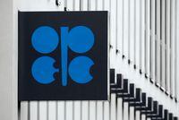 FILE PHOTO: The logo of the Organization of the Petroleum Exporting Countries (OPEC) is pictured on the wall of the new OPEC headquarters in Vienna March 16, 2010.  REUTERS/Heinz-Peter Bader/File Photo