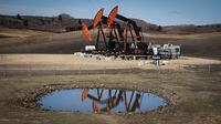 Pumpjacks draw out oil and gas from wellheads near Calgary on Friday, April 28, 2023. A growing number of forecasts are calling for the return of US$100 oil before the end of the year. THE CANADIAN PRESS/Jeff McIntosh