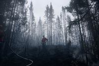 Francis Guay observes the burn line before heading back up the slope to replenish his team's supply of hoses. A day-in-the-life of a Sopfeu wildfire crew in Quebec June 15, 2023