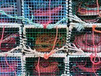A First Nation in Nova Scotia launched its own lobster fishing fleet today, in defiance of federal regulations that say the fishery is closed for the season.